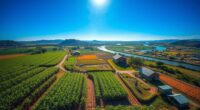 plantation agriculture locations today