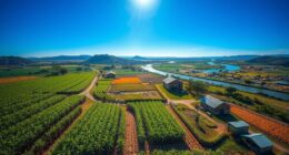 plantation agriculture locations today