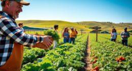 begin community supported agriculture