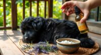 natural flea and tick prevention