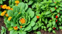 planting for pest prevention