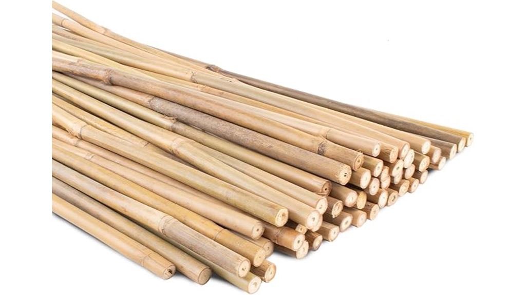 bamboo garden stakes pack