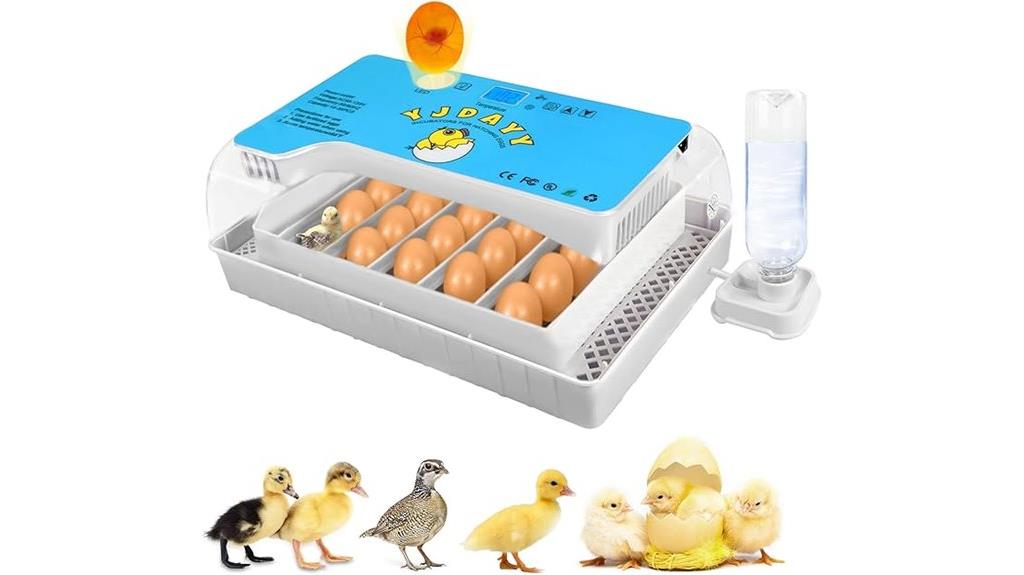 blue incubator for hatching