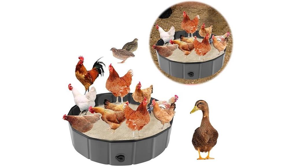 chicken dust bath size
