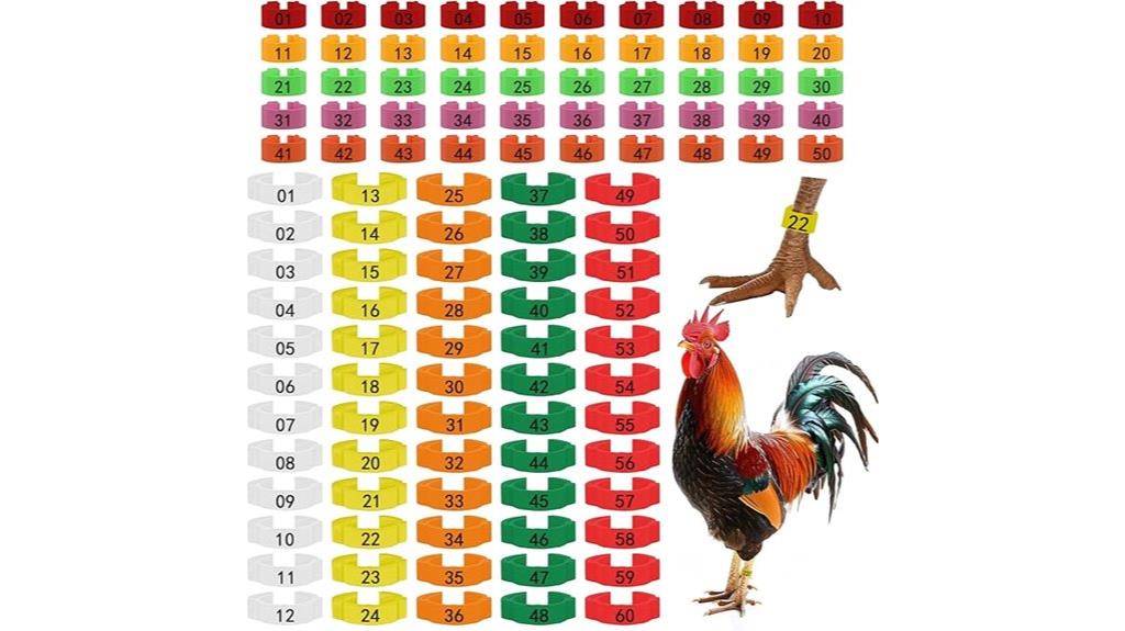 chicken tag and band set