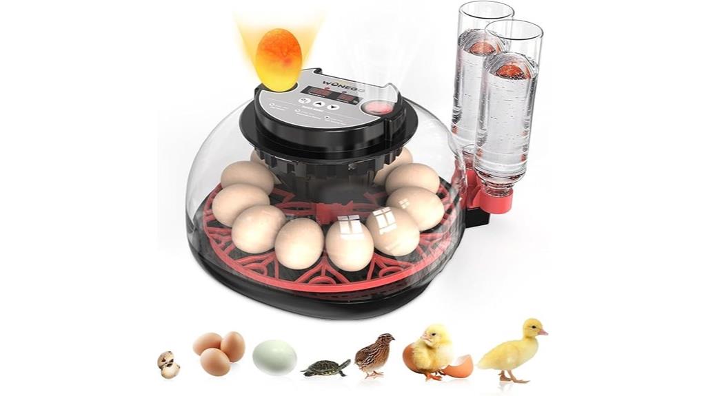 digital auto egg incubator