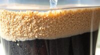 diy pond water filtration