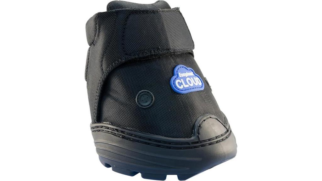 easyboot cloud version four