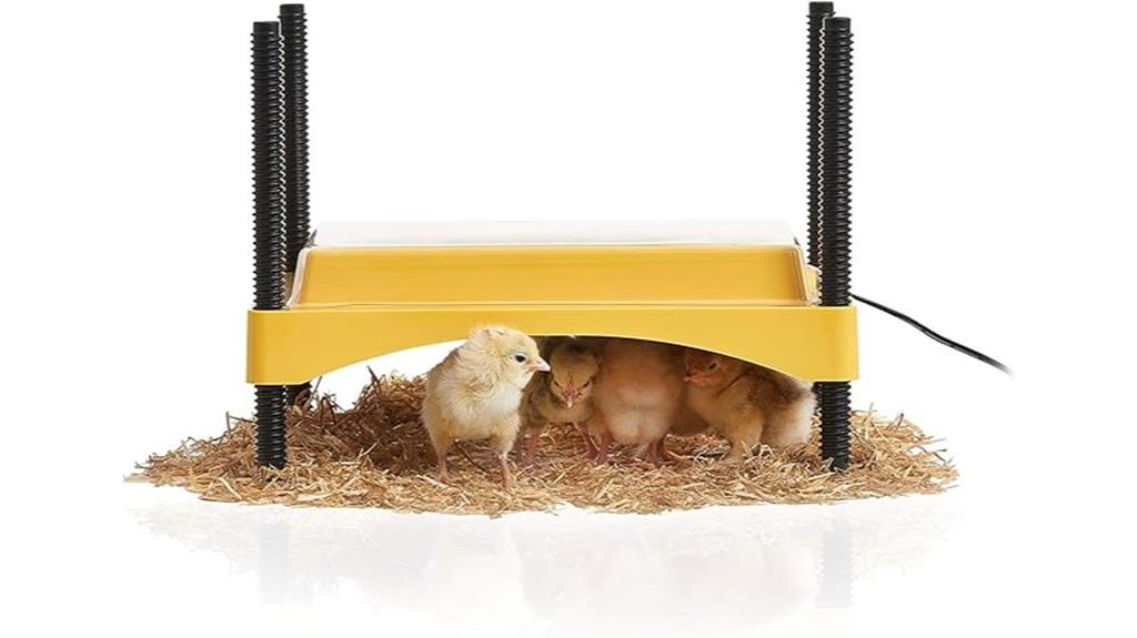 eco friendly brooder safety