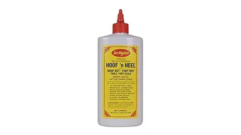 foot infection wound care
