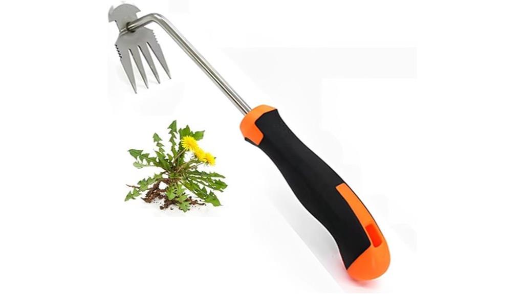 handheld weed removal tool