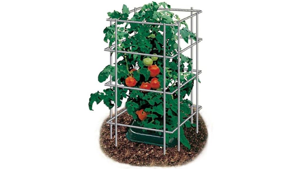 heavy duty tomato plant cages