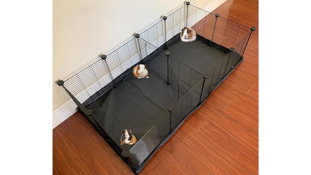 large guinea pig habitat