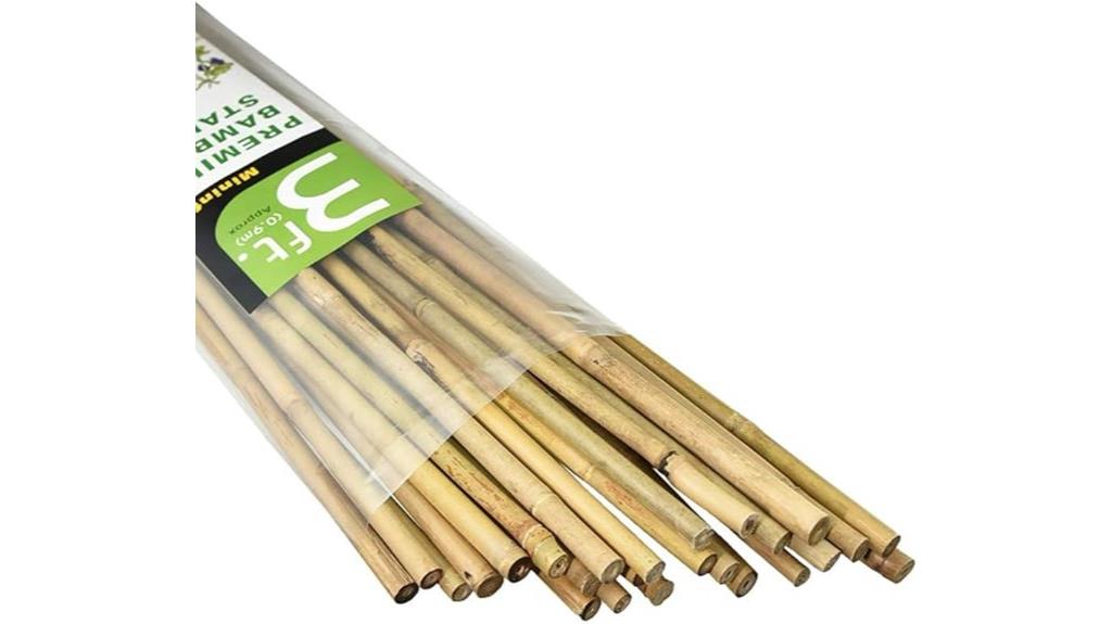 mini bamboo garden stakes