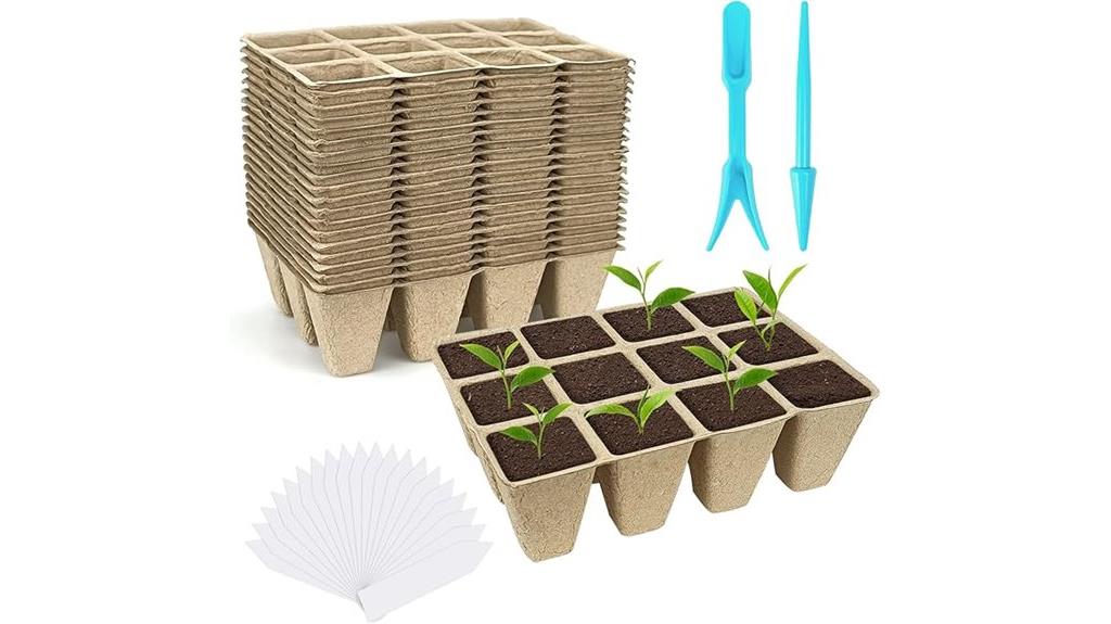 peat pots for seedlings
