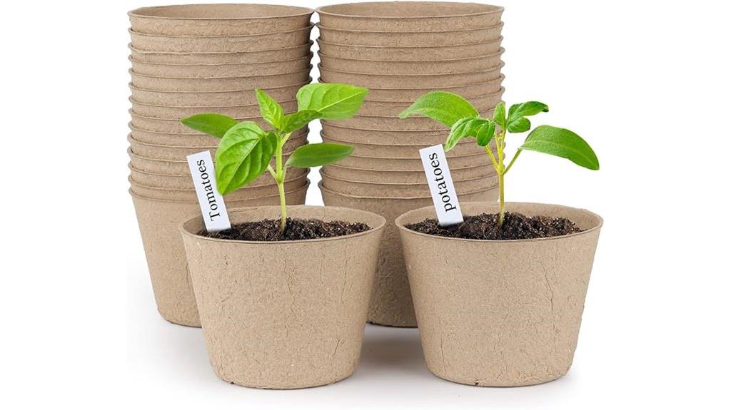 peat pots for seedlings