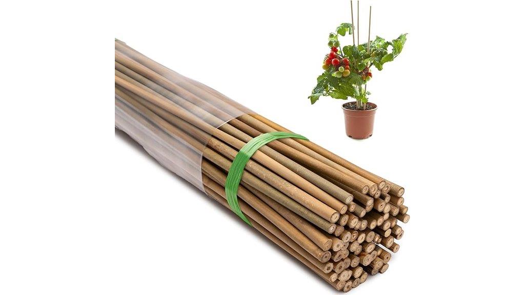 set of 70 bamboo plant stakes