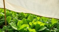shade cloth protects greens