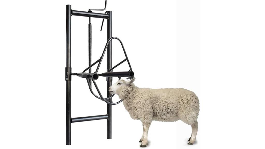 sheep head holding fixture