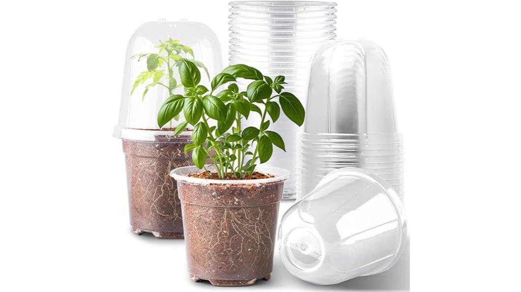 six inch nursery pots