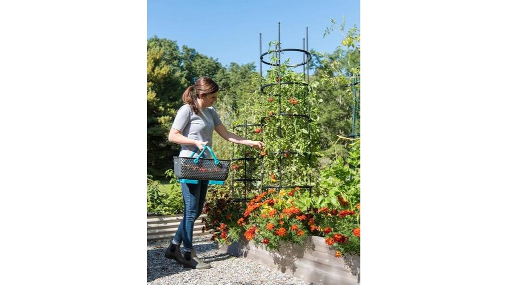 tall tomato cage set