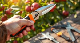 top fruit tree pruning shears