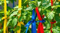 top plant support tapes