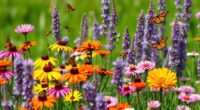 top pollinator wildflower mixes
