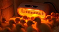 top poultry heating solutions