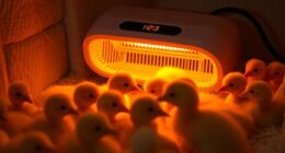 top poultry heating solutions