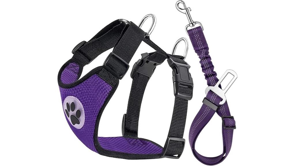 dog harness with seatbelt