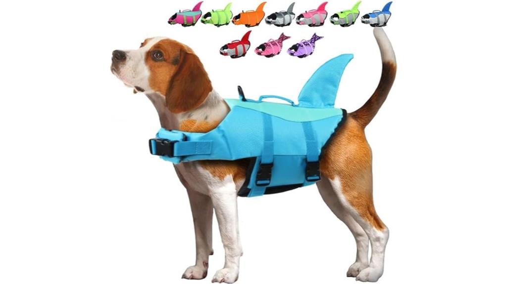 dog swimming safety gear
