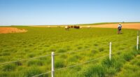 drought resistant rotational grazing