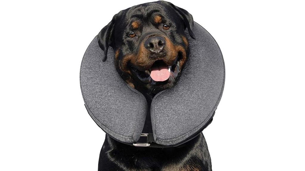 inflatable dog collar xl
