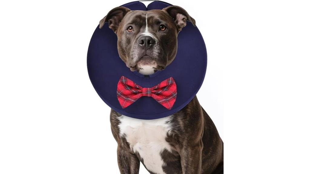 inflatable dog cone collar