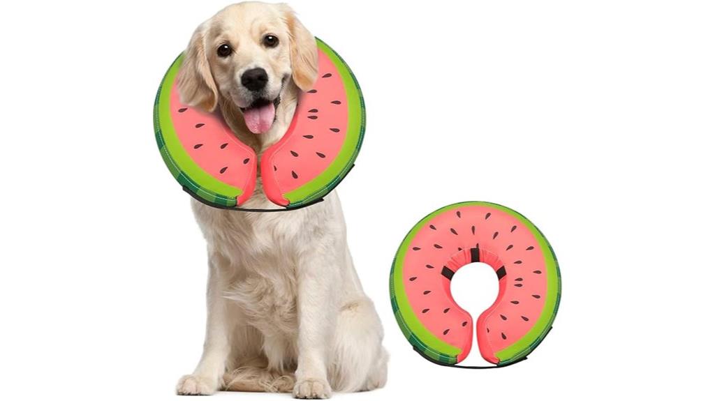 inflatable dog post surgery collar
