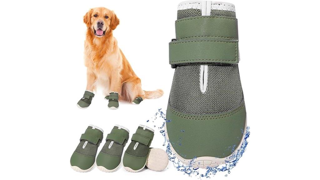 large dog shoe set