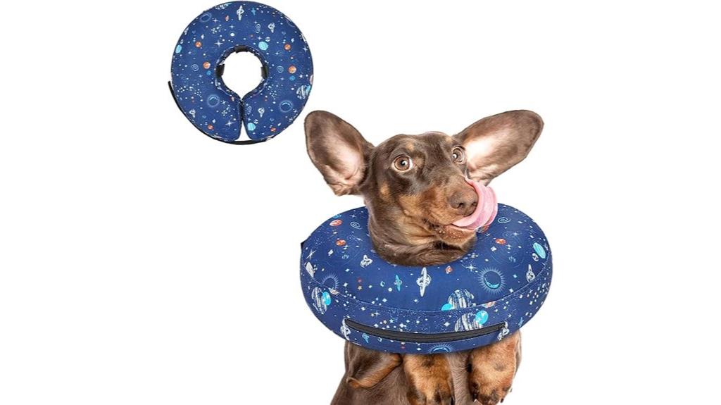 post surgery inflatable dog collar
