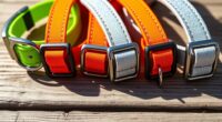 reflective dog collars list