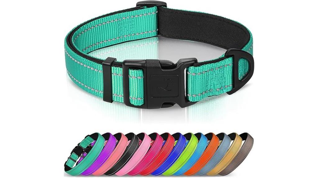reflective medium dog collar
