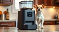 top battery powered pet feeders