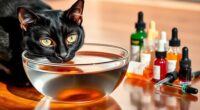 top cat hydration supplements