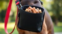 top dog treat pouches