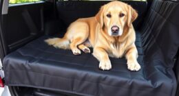 top truck seat cover options