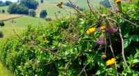 wildlife hedgerows control pests