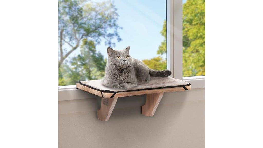 wood frame window perch