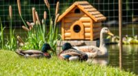 waterfowl housing and safety