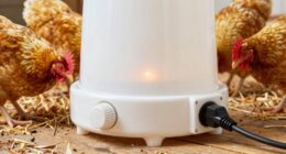 safe poultry waterer heating