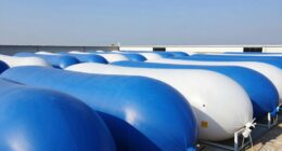 top 15 large water bladders