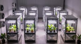 top 4x8 grow tent kits